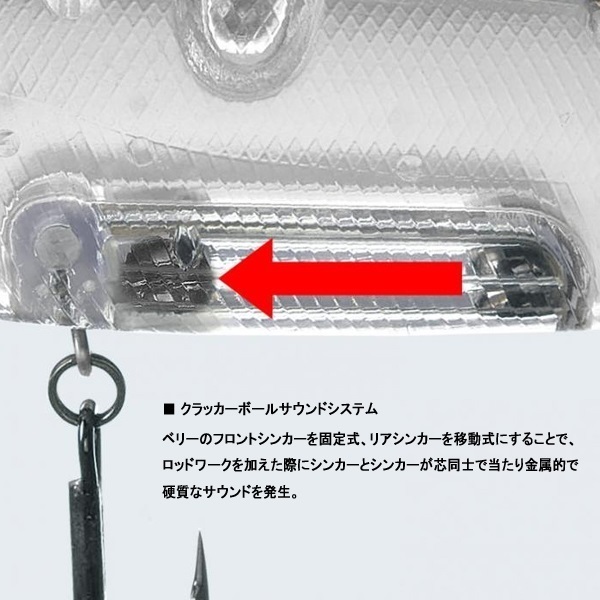 アマゾン　ボーンモデル